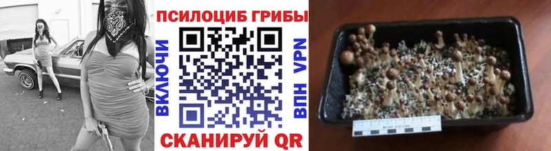 Галлюциногенные грибы мухоморы  Боготол 